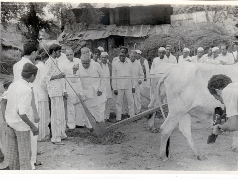 School Facilities7